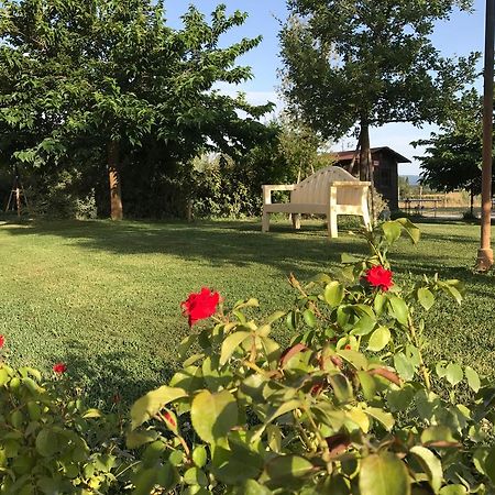 Fauglia Country House Podere Le Rane Felici المظهر الخارجي الصورة