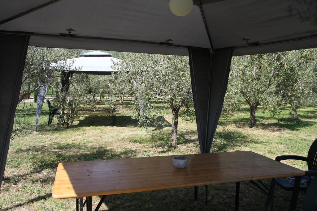 Fauglia Country House Podere Le Rane Felici المظهر الخارجي الصورة