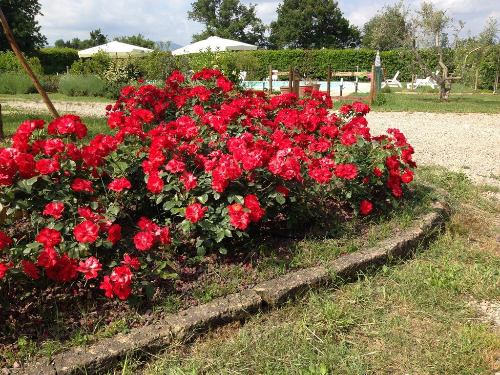 Fauglia Country House Podere Le Rane Felici المظهر الخارجي الصورة