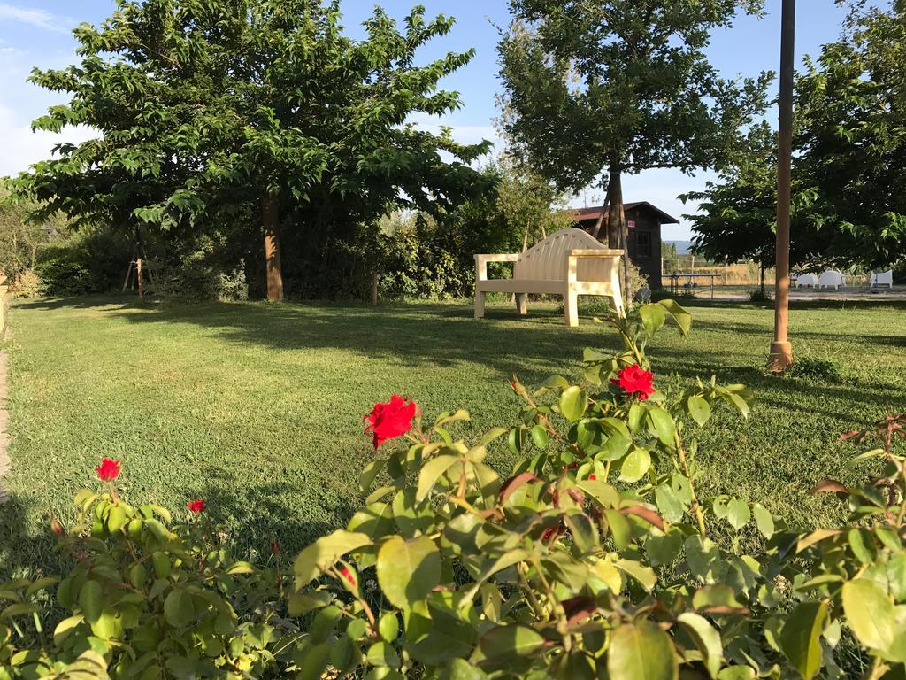 Fauglia Country House Podere Le Rane Felici المظهر الخارجي الصورة